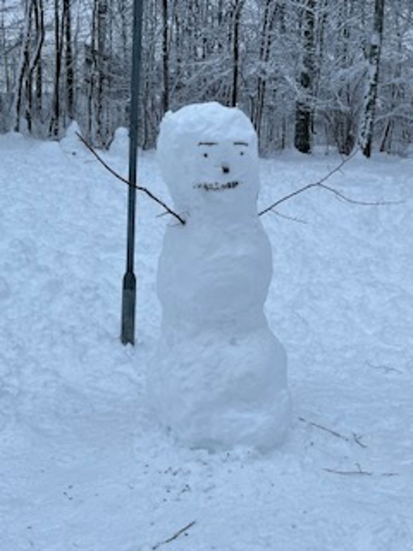 en snøperson i et snødekt område en snøperson i et snødekt område