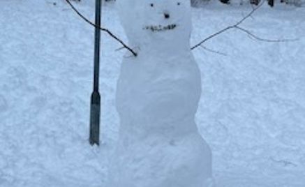 en snøperson i et snødekt område en snøperson i et snødekt område