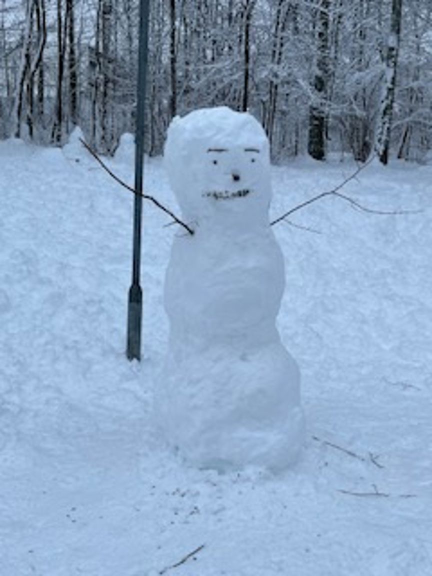 en snøperson i et snødekt område en snøperson i et snødekt område